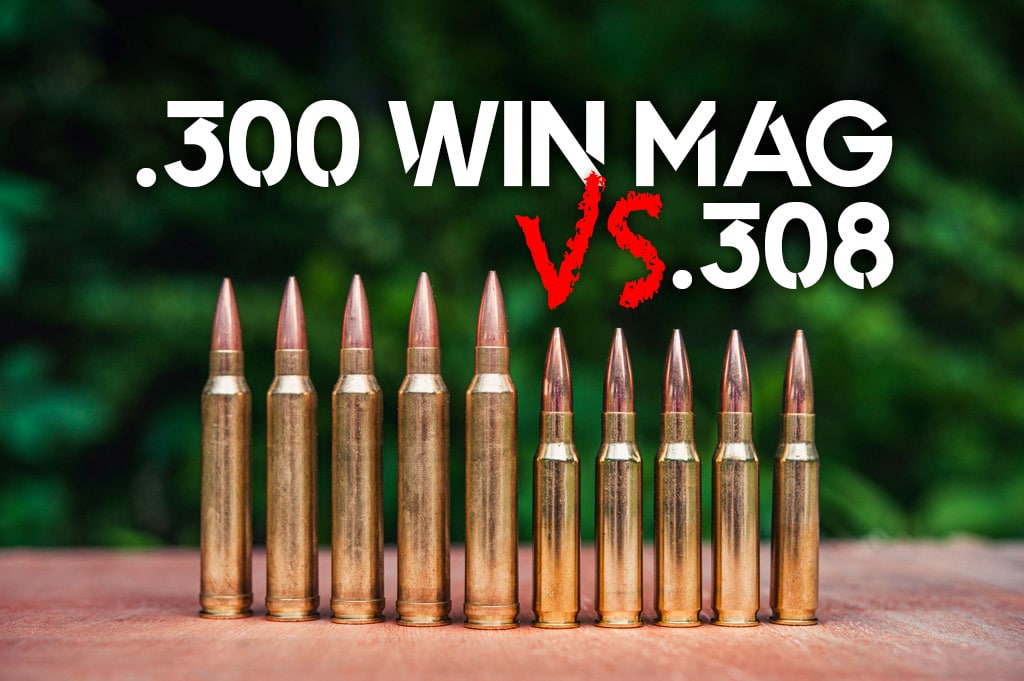 308 vs. 300 Win Mag Cartridges