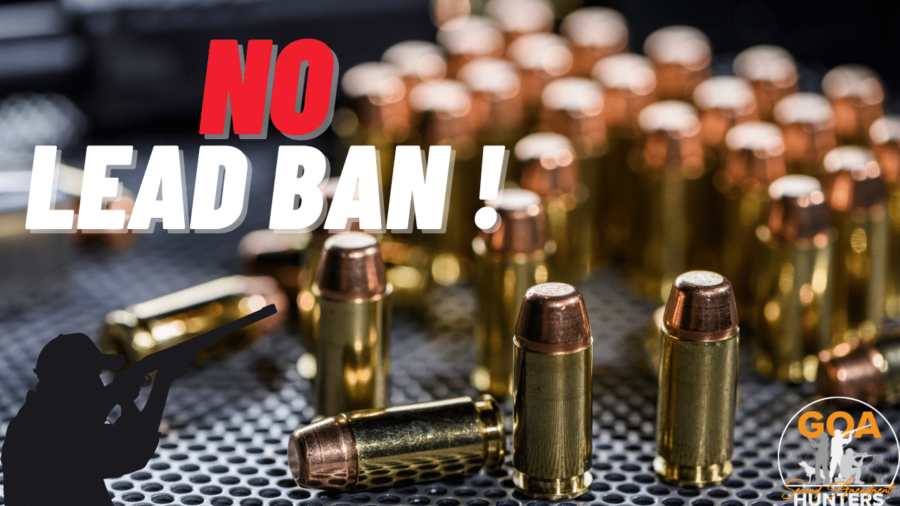lead ban image