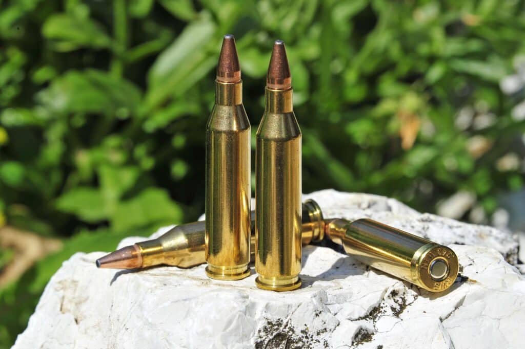 .243 Winchester Rifle Cartridge